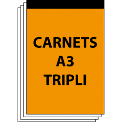 Carnet autocopiant A3 Triplicata